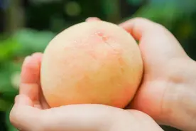 夏天比西瓜更迷人的，是甜到心坎里的湖景水蜜桃图片