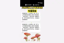 据说，这是只有云南人才能收到的短信……图片