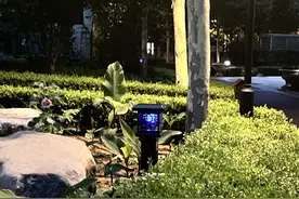 68盏节能灭蚊灯“上岗”！居民遛弯儿更舒心了图片