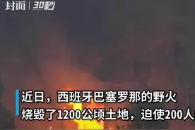 30秒｜西班牙巴塞罗那山火烧毁1200公顷土地，迫使200余人撤离图片