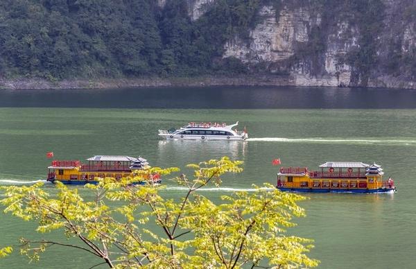 贵州毕节：牢记嘱托 一步一个脚印推动高质量绿色发展