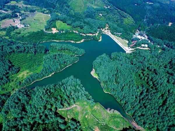 贵州毕节：牢记嘱托 一步一个脚印推动高质量绿色发展