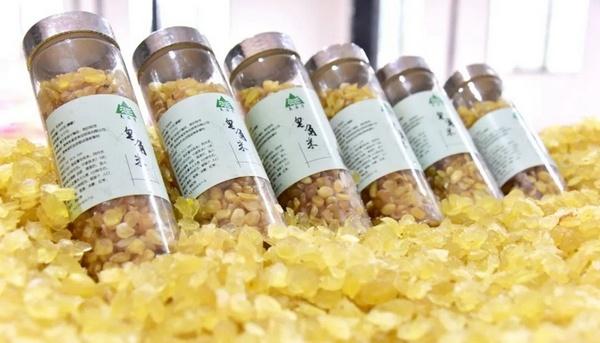 贵州毕节：牢记嘱托 一步一个脚印推动高质量绿色发展