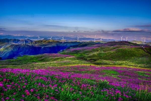 贵州毕节：牢记嘱托 一步一个脚印推动高质量绿色发展
