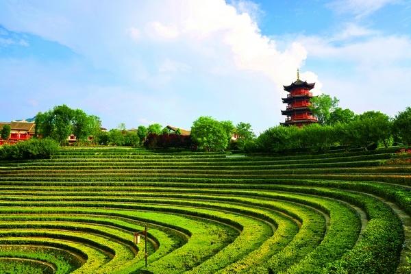 贵州毕节：牢记嘱托 一步一个脚印推动高质量绿色发展