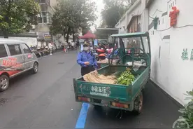 浙江金华回应“城管拖行艾草女摊贩”事件：6次劝离无果，队员执法经验确有不足图片
