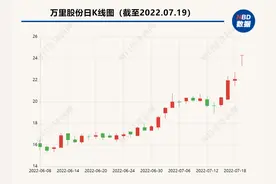 万里股份拟资产置换转型磷酸铁锂：近4年前低价甩卖如今高价购回，标的估值时隔7个月相差27倍图片
