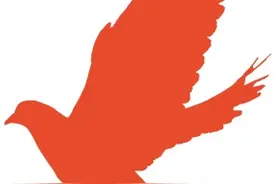 迎接党的二十大 │ 19位专家、50个案例，深度透析“上海教育这十年”！《上海教育》杂志电子刊来了图片