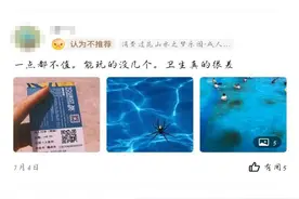 去玩水=各种病，一个泳池有75升尿？夏天如何才能放心去浪？图片