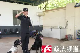 战友，珍重！退役警犬一个举动让人瞬间破防……图片