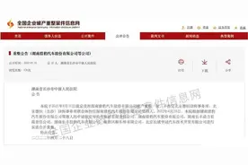 威马入局救猎豹图片