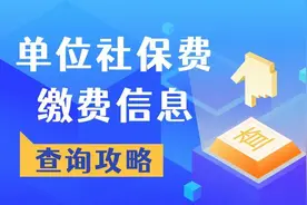 如何在电子税务局查询单位社保费缴费信息？图片