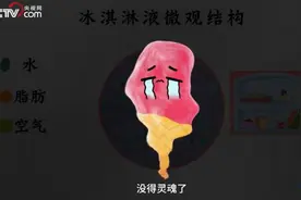 冰淇淋和雪糕有什么区别 其实冰淇淋里一半是空气图片