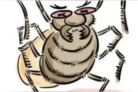 【动植物检疫】小黑点 大危害——蜱虫科普不可少图片