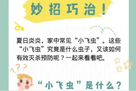 「健康解码」家中常见“小飞虫”？妙招巧治图片