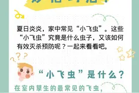 「健康解码」家中常见“小飞虫”？妙招巧治图片