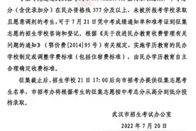 第三批次民办高中！武汉市发布征集志愿公告图片