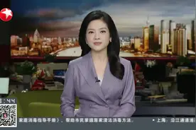 上海：夏日打击整治“百日行动”集中收网 破获刑事案件2400余起视频封面