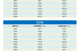一图速览四川各市州养老保险缴费档次图片