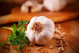 山东人的餐桌上不能没有大蒜，吃饺子更是无蒜不欢图片