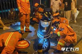 蛇！蛇！蛇！长沙已出现多次图片