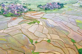 江西省吉安市永丰县持续推进高标准农田建设图片