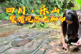 四川乐山一餐馆中发现雷龙脚印？图片