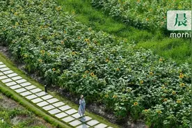 晨读成都｜上限27790元！2022年成都住房公积金缴存基数调整图片
