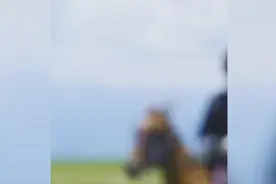 太飒了！新疆昭苏女警骑马巡逻 网友：威风又养眼图片