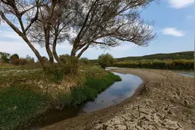 全球水需求将比供给高四成，世界经济论坛：如何解决水资源危机图片