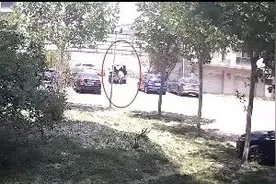 卸完货，竟顺手把旁边三轮车拉走了……图片