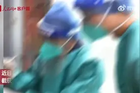 我国海关截获国内从未见分布蟑螂图片