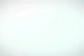 贪吃蛇连吞4只小鸟，肚子撑大被困鸟笼图片