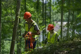 湖北移动启动“护芯计划”完成40条干线光缆整治图片