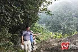 图说怀化｜雪峰山国家森林公园成市民“避暑胜地”图片
