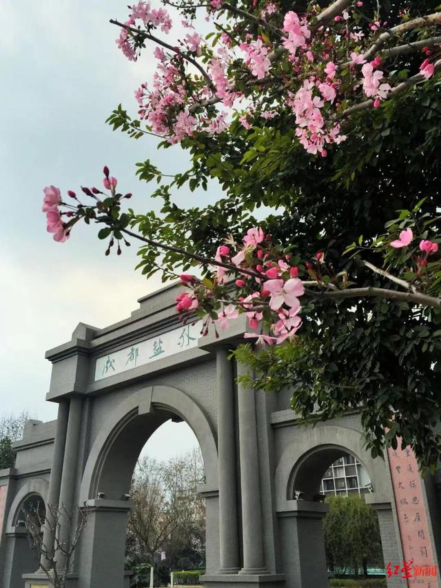关注成都首批民转公丨办了20年的成都盐外宣布转公：哪些变了？哪些没变？