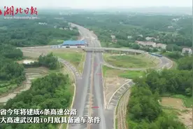 湖北今年将建成6条高速公路，武大高速武汉段10月底具备通车条件图片