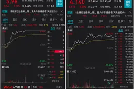 牵手“宁王”，千亿龙头股放量涨停！事关全球最大钴矿山图片