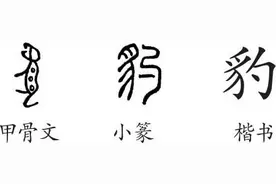 雄踞冰封雪岭 “雪山之王”难得一见？丨旱域生灵图片
