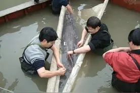 你的网上账号安全吗？一键可查 /“最古老星系”，曝光了图片