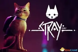 《迷失》stray攻略 全记忆收集解密流程攻略图片