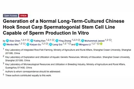 全球首次！上海科学家破了精原干细胞系“吉尼斯纪录”！马口鱼体外产精，还能存活长达800天图片