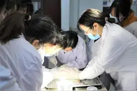 兽医成“热门”“全才”最抢手图片