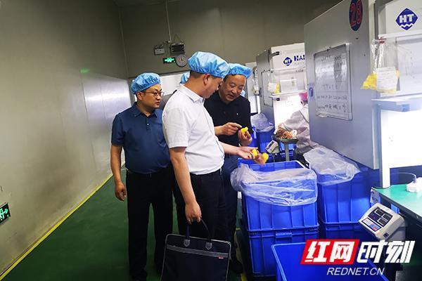 4.6万多名干部组团破题做出“助企公式”：诚意+暖意=满意丨万名干部联万企