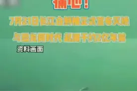 “最后的白鲟”珍贵影像在此！这些动物也正从长江消失图片