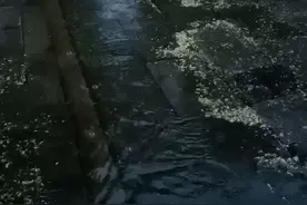 山东多地强降雨已上线！情报员用镜头记录雨情：出行注意安全图片