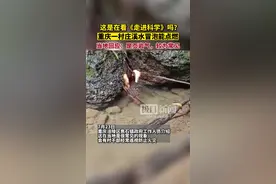 重庆一村庄溪水冒泡能点燃，当地回应图片