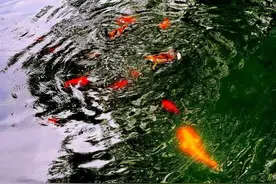 藝文视界 | 细节，就是一个双面镜图片