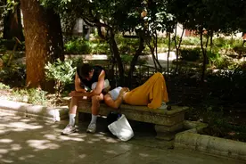 “欧洲没有空调，连狗都不在房间睡了”图片