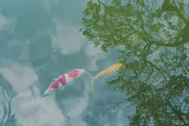 中国传统颜色的雅称，你知道多少？图片